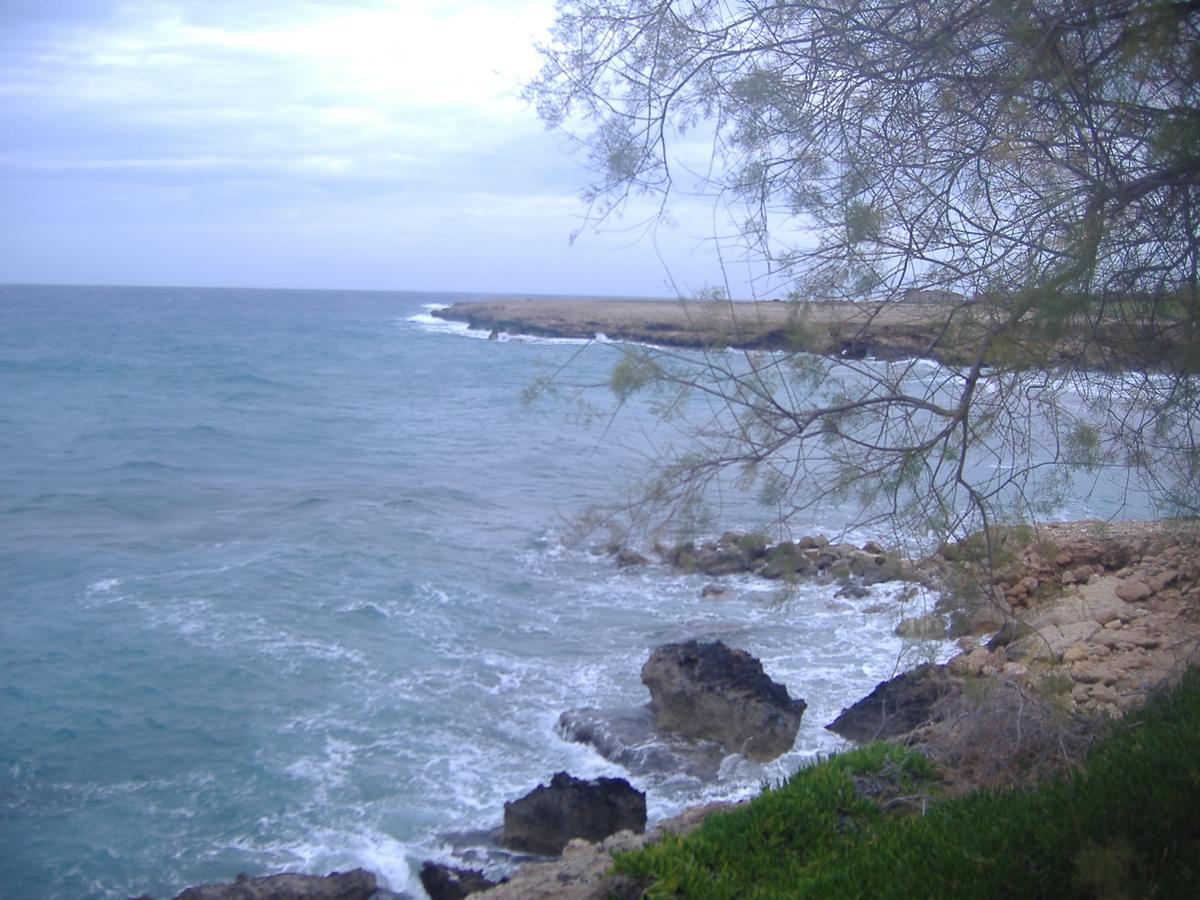Theresa Hotel At Karpaz Peninsula Agia Trias 외부 사진